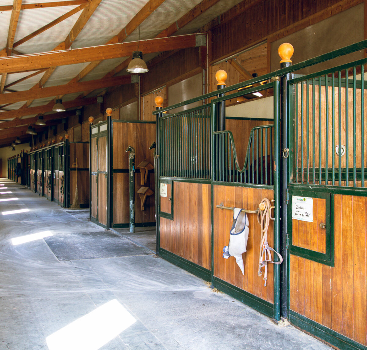 Box à cheval à louer - Haras de Castellane écurie haut de gamme en Provence