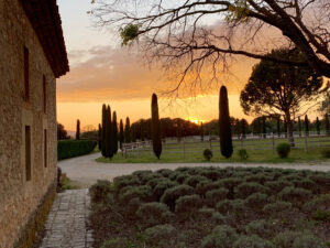 Allée du Haras de Castellane - Organisation d'évènement