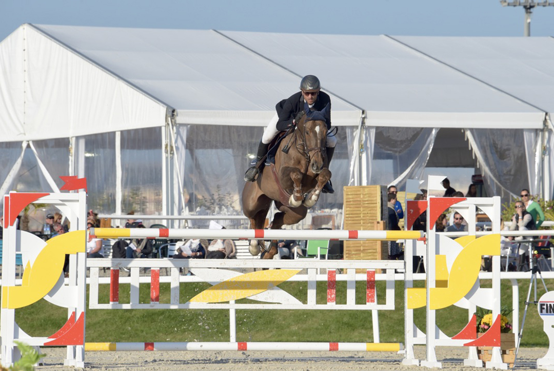 Philippe Lafon cavalier professionnel du Haras de Castellane