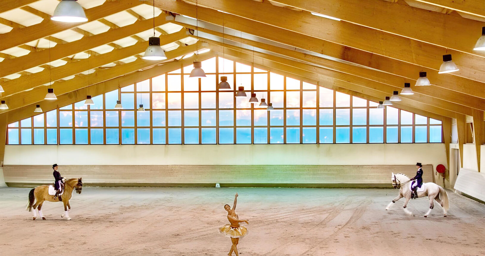 Spectacle équestre dans le manège - Haras de Castellane